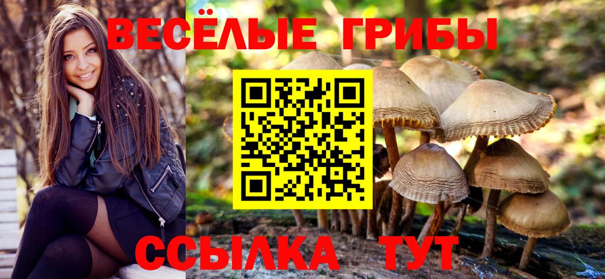 Псилоцибиновые грибы ЛСД Ялта